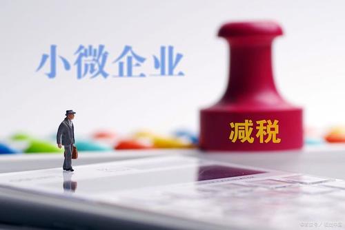 至年底，山東免除個(gè)體工商戶(hù)和小微企業(yè)免一切稅費